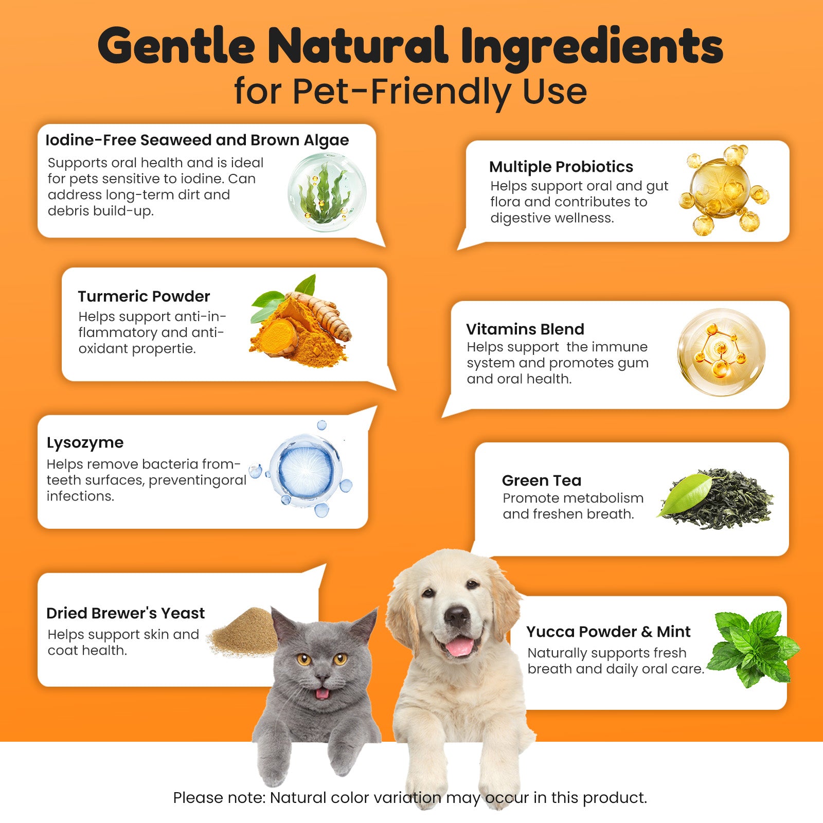 Dog Teeth Cleaning Powder